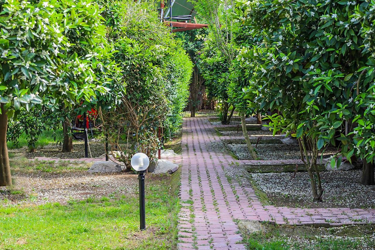 Three Islands Bungalow Çıralı Exterior foto
